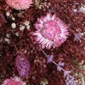 Dried Flower Wreath Burgundy Pink Ø25cm | Floristik24.co.uk