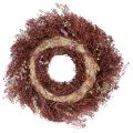 Dried Flower Wreath Burgundy Pink Ø25cm | Floristik24.co.uk