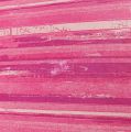 Floristik24 Flower paper 37.5cm pink stripes 100m
