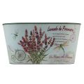 Floristik24 Flower bowl oval lavender flower pot plastic 21.5×12.5cm H11cm