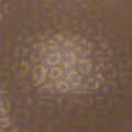 Brown Leopard Pattern Waterproof Floral Tissue Paper 50x75cm Pack of 20 | Floristik24.co.uk