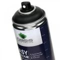 Floristik24 OASIS® Easy Color Spray, paint spray black 400ml