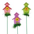 Floristik24 Flower stud with house colored 12pcs