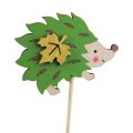 Floristik24 Flower plug wooden hedgehog decoration brown green 8×6cm 12pcs