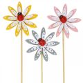Floristik24 Deco plugs flowers with ladybugs spring decoration wood Ø5cm 18p