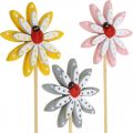 Floristik24 Deco plugs flowers with ladybugs spring decoration wood Ø5cm 18p