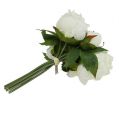 Floristik24 Bouquet Peonies White L30cm
