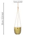 Glass flower pot/hanging lantern, purple/green, 14cm, 2 pieces | Floristik24.co.uk