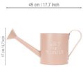 Vintage decorative flower pot/watering can, antique rose zinc, Ø16.5cm H17cm | Floristik24.co.uk