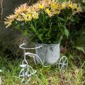 Floristik24 Flower pot bicycle metal vintage white washed 24 × 13 × 14cm
