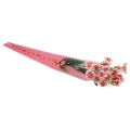 Floristik24 Flower bag with hearts pink For a rose 50cm 50pcs
