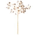 Beverage Blossom Metallic