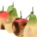 Floristik24 Pear and apple from wood assortment 6.5cm-8.5cm 4pcs