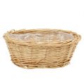Floristik24 Bread basket peeled approx. 29.5cm oval
