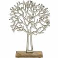 Floristik24 Decorative beech tree in silver, tree silhouette made of metal, decorative tree on mango wood