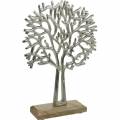 Floristik24 Decorative beech tree in silver, tree silhouette made of metal, decorative tree on mango wood