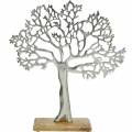 Floristik24 Metal tree, decorative beech on a wooden base, silver metal decoration, tree of life, mango wood