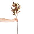 Artificial Coleus Plant with Red Leaves, 20cm Decoration | Floristik24.co.uk