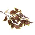 Artificial Coleus Plant with