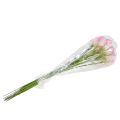 Calla decorative flower pink 57cm 12pcs | Floristik24.co.uk