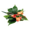 Floristik24 Calla Lily Apricot Calla Artificial Flowers Orange Exotic 44cm