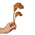 Rusty Metal Calla Lily Garden Stakes – Set of 6, 25cm | Floristik24.co.uk