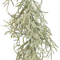 Floristik24 Calocephalus Garland Artificial Plants Silver Gray 122cm