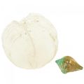 Floristik24 Capiz Mother of Pearl Shell Mother of Pearl Discs Sea Snail Shell Green 3.5–9.5cm 750g