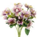 Floristik24 Artificial Hellebore Bouquet with Purple Blossoms 35cm Set of 6

```html
<h2>Artificial Hellebore Bouquet for Indoor Decoration</h2>

<p>
This artificial hellebore bouquet features six beautifully detailed stems with delicate purple blossoms. Standing at 