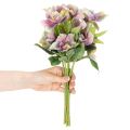 Artificial Hellebore Bouquet with Purple Blossoms 35cm Set of 6

```html
<h2>Artificial Hellebore Bouquet for Indoor Decoration</h2>

<p>
This artificial hellebore bouquet features six beautifully detailed stems with delicate purple blossoms. Standing at  | Floristik24.co.uk