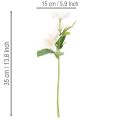 Artificial Christmas Rose Bouquet, 35cm, Set of 6, Pink and White | Floristik24.co.uk