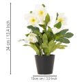 Artificial Christmas rose, potted plant, table decoration, 34cm | Floristik24.co.uk