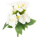 Floristik24 Artificial White Christmas Rose Bundle for Festive Home Decoration