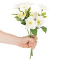 Artificial White Christmas Rose Bundle for Festive Home Decoration | Floristik24.co.uk