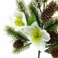 Floristik24 Artificial fir branch with Christmas roses and cones L36cm
