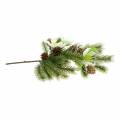 Floristik24 Artificial fir branch with Christmas roses and cones L36cm