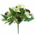 Floristik24 Artificial Christmas rose bouquet with fir tree and cones H26cm