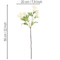 Artificial Chrysanthemum Bundle Cream White 56cm Set of 4 | Floristik24.co.uk