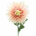 Floristik24 Chrysanthemum flower branch pink artificial 64cm