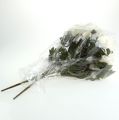 Floristik24 Chrysanthemum bush cream 47cm 2pcs
