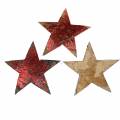 Floristik24 Coconut star red 5cm 50pcs Christmas decoration decorative stars