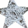 Floristik24 Coconut Star White washed 10cm 20pcs