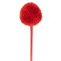 Craspedia Dried Flowers Dyed Red 55cm 20 Stems | Floristik24.co.uk