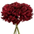 Floristik24 Chrysanthemum bouquet Bordeaux 28cm 6pcs