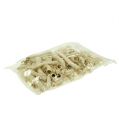 Floristik24 Cupy root bleached 350g