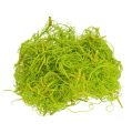 Floristik24 Curly moss light green 350g