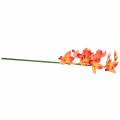 Floristik24 Orchid artificial flower Cymbidium Orange 74cm