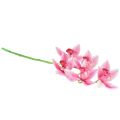 Floristik24 Cymbidium orchid artificial 5 flowers pink 65cm