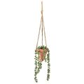 Floristik24 Artificial succulents hanging snake stonecrop 34cm