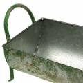 Floristik24 Decorative zinc trough for planting with handles gray, green 60 / 43cm, set of 2